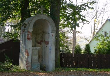 Tocht Te voet Bad Gottleuba-Berggießhübel - [Z] okruh Oelsen - Špičák - Oelsen - Photo