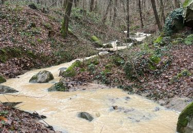 Trail sport Auvers-Saint-Georges - Auvers saint Geaorges - Photo