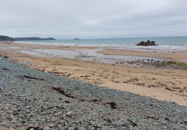 Randonnée Marche Erquy - LE CAP D'ERQUY DEPUIS LE CAMPING LA VALLEE - Photo