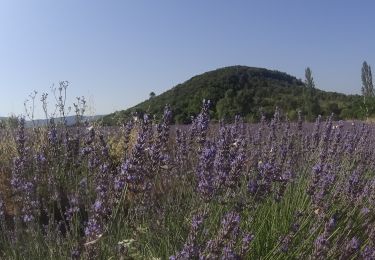 Tour Mountainbike Lagorce - vtt vallon - Photo