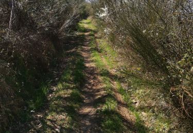 Trail Walking Saint-Étienne - 2025 04 08  42 St Etienne - du Furan au Furet - Photo