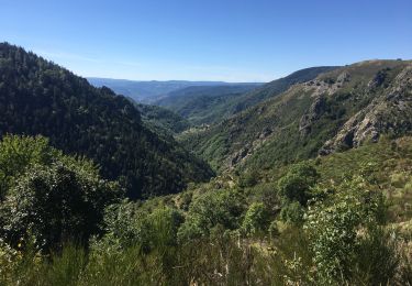 Randonnée Marche Saint-Étienne-de-Lugdarès - Le Bez-Borne-les Chambons - Photo