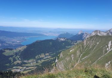 Tocht Stappen Saint-Ferréol - Crêt des Mouches 08-2019 - Photo