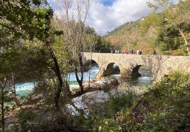 Excursión sport Saint-Cézaire-sur-Siagne - Montauroux -St Cezaire - Pont de Suive - Photo