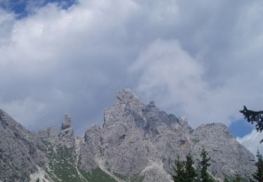 Trail On foot Lozzo di Cadore - IT-272 - Photo