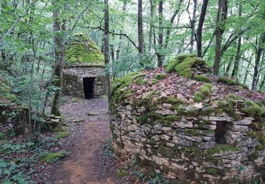 Tocht Stappen Peyzac-le-Moustier - Payzac-le-moustier, St Leon s/ Vézère, la Roque St Christophe  - Photo