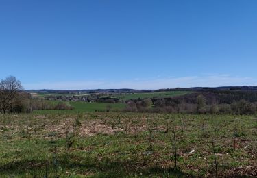 Randonnée Marche Saint-Hubert - A la découverte de Mirwart et ses environs  - Photo