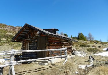 Percorso A piedi Tesero - Troso de la Mandrolina - Photo