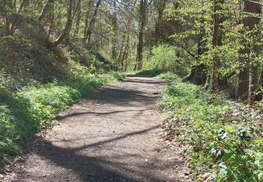 Trail Walking Ceyrat - GORGES DE CEYRAT EN BOUCLE PAR BERZET - Photo