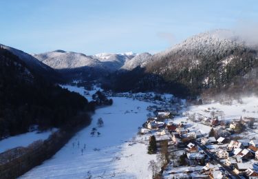 Trail Walking Metzeral - Autours de Metzeral - Photo