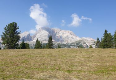 Tour Wandern Prags - Strudelkopf - Monte Specie 2307m - Photo