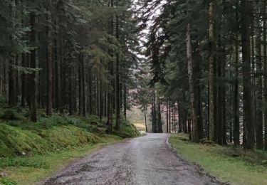 Tour Wandern Woll - Autour du lac du Corbeau - Photo