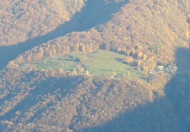 Tocht Te voet Tronzano Lago Maggiore - 143 Lago Delio_Centocampi - Photo