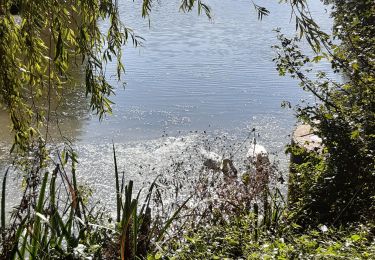 Trail Walking Villeneuve-d'Ascq - La chaîne des lacs - Photo
