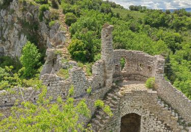 Tocht Stappen Toulaud - Château de Crussol par Meyret - Photo