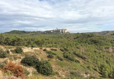 Excursión Senderismo Saint-Rémy-de-Provence - PF-Saint Rémy de Provence - Le Gaudre du Rougadou - Chemin des Lombards - Reco - Photo