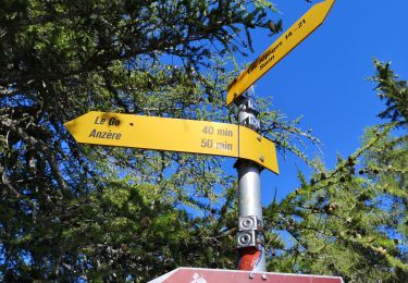 Trail Nordic walking Ayent - 07.08.20 Tour des Alpages  - Photo