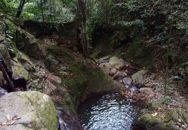 Excursión Senderismo Bouillante - Aquarando Rivière Losteau - Rivière Espérance - Photo