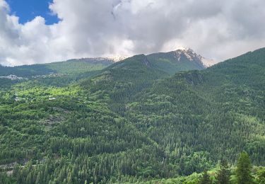 Tocht Stappen Vallouise-Pelvoux - Puy Aillau - Photo