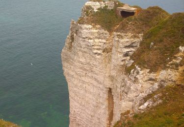 Percorso A piedi Vattetot-sur-Mer - vattetot sur mer - vaucotte- étigue  - Photo