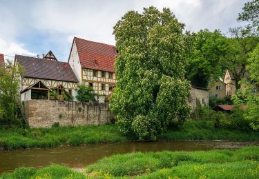 Excursión A pie Widdern - KJ14 Widdern-Ziegelhütte-Bühl-Rundweg - Photo