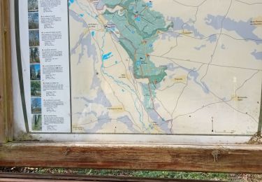 Excursión Senderismo Cauverville-en-Roumois - Cauverville en Roumois - Le chemin du chênede la Vierge - Photo
