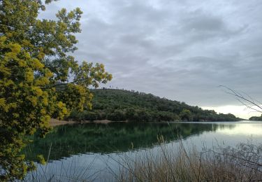 Randonnée V.T.T. Bormes-les-Mimosas - Dfci du trapan - Photo