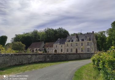 Trail Cycle La Chartre-sur-le-Loir - Vignes en Loir - Photo