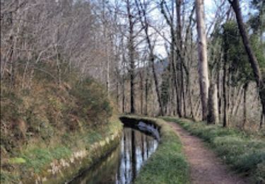 Trail Walking Andoain - CANAL DES MILLE MARCHES - CANAL DE VILLABONA Otieta Parkea  - Photo