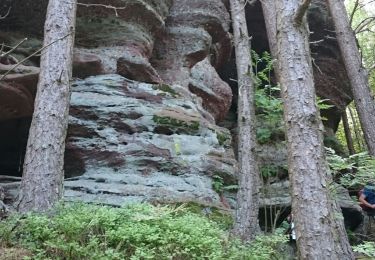 Tocht Stappen Breitenau - breitenau  - Photo