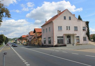 Percorso A piedi Holýšov - Naučná stezka Holýšov II - Photo