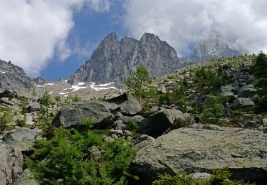 Trail Walking Chamonix-Mont-Blanc - Plan de l'aiguille par Montenvers  - Photo