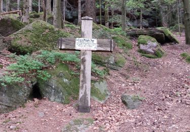 Tour Wandern Dagsburg - Windsbourg Dabo - Photo