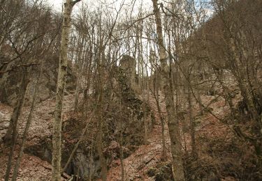 Tour Zu Fuß  - Poteca Cheii din Cheile Vârghișului - Photo