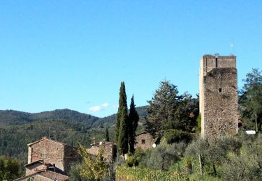 Excursión A pie Gaiole in Chianti - IT-54 - Photo