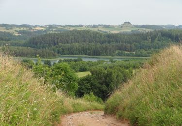 Randonnée A pied Smolniki - Wokół jeziora Jaczno - Photo