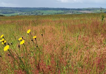 Tour Wandern Le Vey - Suisse_Normande_#J4_Clécy_-_Hamars - Photo