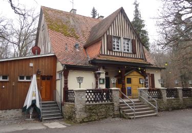 Percorso A piedi Butzbach - Wanderwege Hausberg - Eichenblatt - Photo