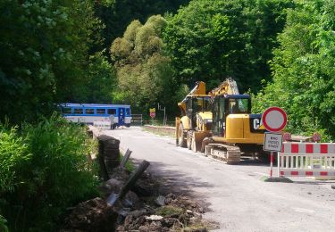 Tocht Te voet Roztoky u Semil - [Ž] Poniklá - Roztoky u Semil - Photo