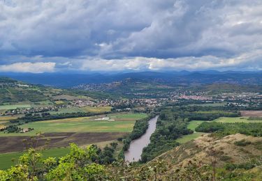 Tour Wandern Mirefleurs - Mirefleur_St-Maurice_T - Photo