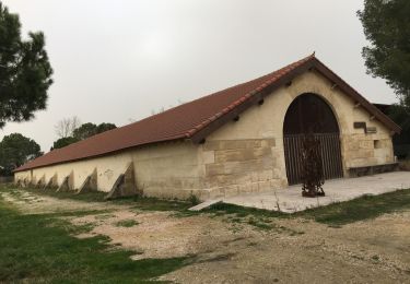 Trail Walking Arles - Musée Pont de Rousty - Photo