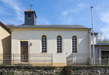 Tour Zu Fuß Rosport-Mompach - Fleche Bleu Born - Photo