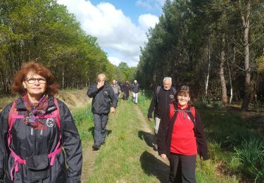 Tour Wandern Vierzon - Étang de fay 04 05 2019 - Photo