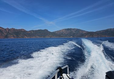 Randonnée Bateau à moteur Casaglione - Scandola, Girolata  - Photo