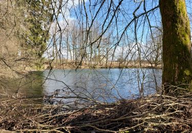 Percorso Marcia Libramont-Chevigny - Bras bas 190321 - Photo