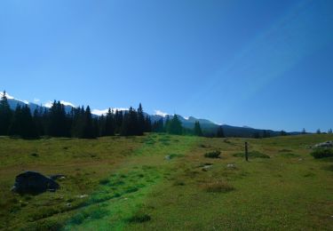 Trail Walking La Chapelle-en-Vercors - la Sarna /Roche Rousse - Photo