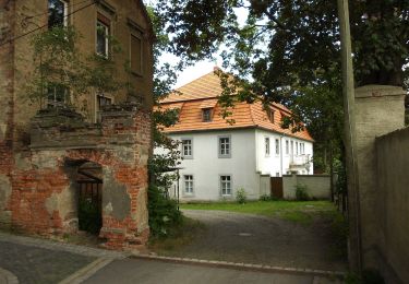 Tocht Te voet Elsteraue - Ökologischer Lehrpfad Elsteraue - Photo