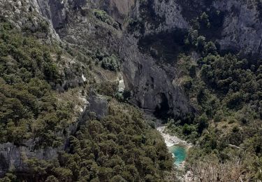 Trail Walking La Palud-sur-Verdon - les malines au point sublime - Photo