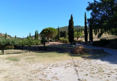 Excursión Senderismo Rousset-les-Vignes - Rousset- La Lance - Photo