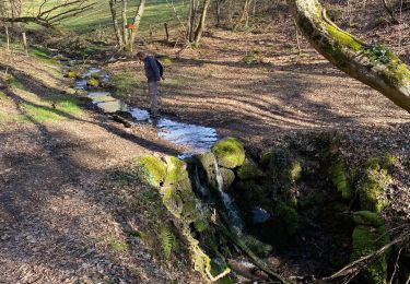 Excursión Senderismo Saint-Médard-en-Forez - Boucle de St Médard - Photo